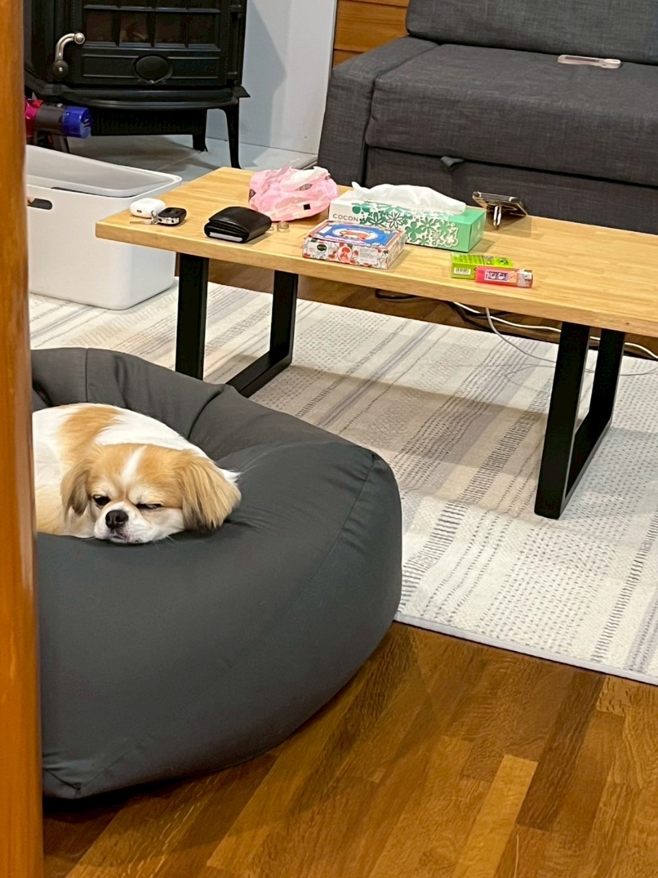 那須高原villa  こはるの森｜栃木県・那須・板室｜詳細13