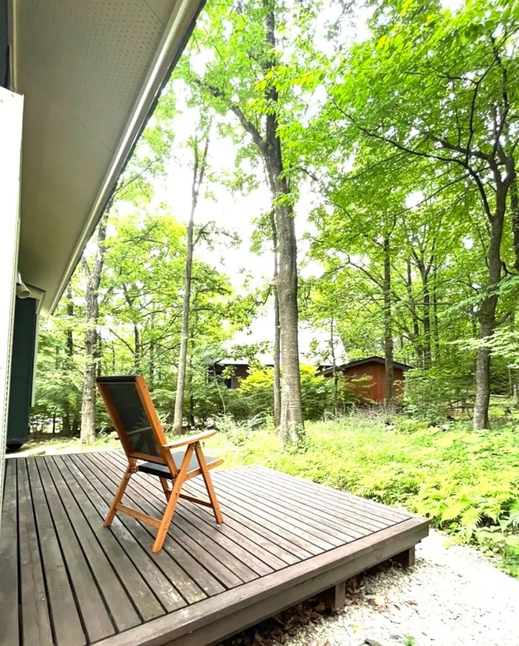 那須高原villa  こはるの森｜栃木県・那須・板室｜施設周辺は森林が広がり、リビングより200㎡のお庭を望むことができます。森林浴はもちろん、夏には虫取り、秋には紅葉、冬は雪景色をご堪能
いただけます。