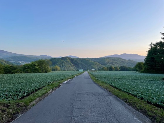 群馬県 北軽井沢・嬬恋・万座の貸別荘・コテージ｜アウトドアアドベンチャー北軽井沢：高原