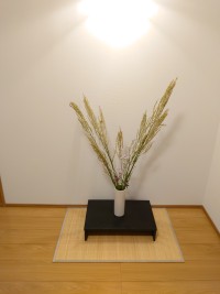 別邸  青い森那須