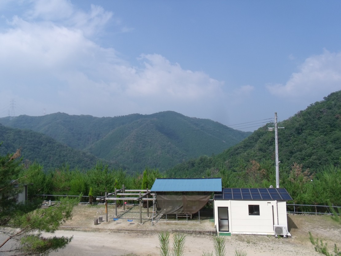 ポパイテンキャンプ場　バンガロハウス(1棟貸切)｜兵庫県・姫路・赤穂・播磨｜外観2