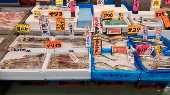 千葉県 九十九里・銚子の貸別荘・コテージ｜UMICHIKA 6886：スーパー