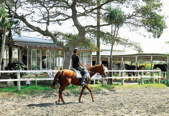 千葉県 九十九里・銚子の貸別荘・コテージ｜UMICHIKA 6886：動物ふれあい
