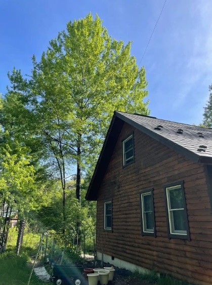 群馬県 北軽井沢・嬬恋・万座のコテージ｜ジラソーレ北軽井沢の写真：ログハウス