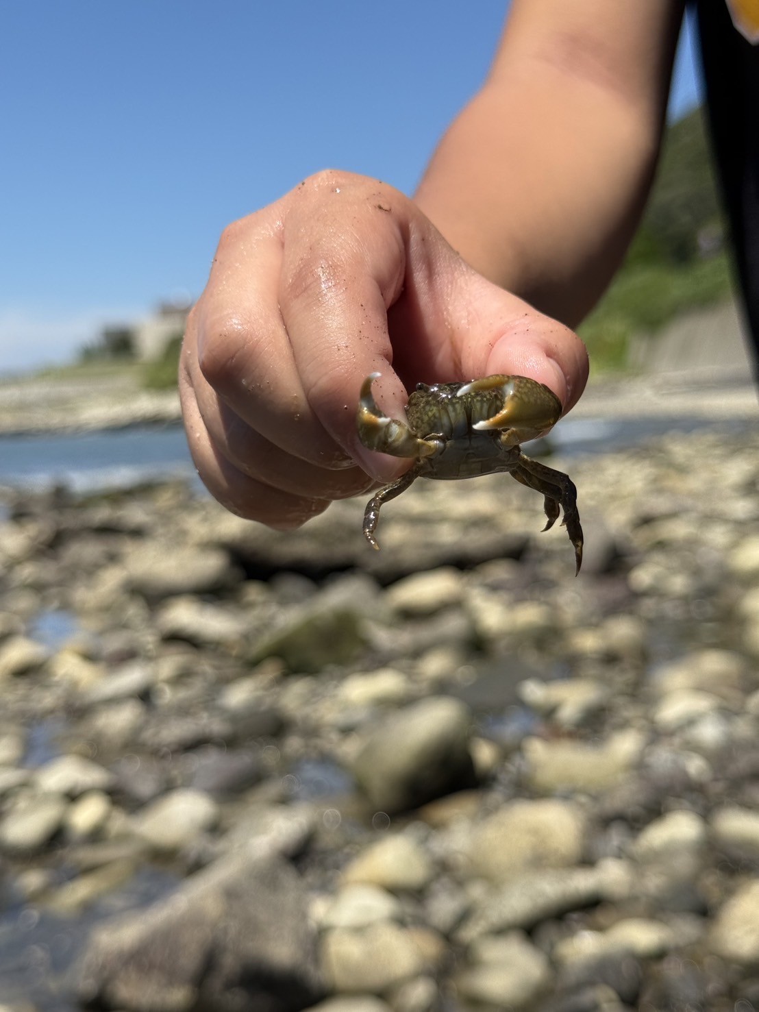 SCENERY Kanaya｜千葉県・木更津・君津・富津｜海まで徒歩2分