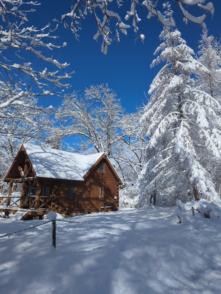 長野県 八ヶ岳・富士見・原村・野辺山・小海のコテージ｜リスの家の写真：冬のリスの家