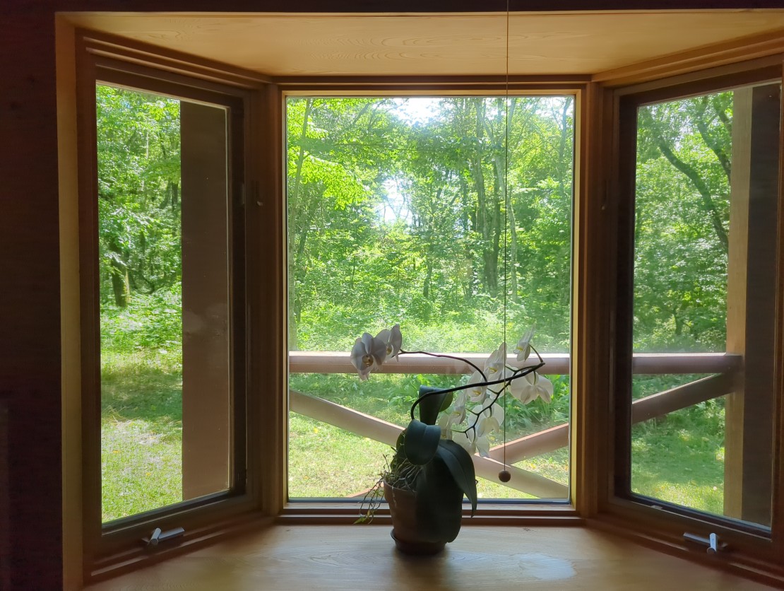 リスの家｜長野県・八ヶ岳・富士見・原村・野辺山・小海｜リビングの大きな出窓からは、美しい森が広がります