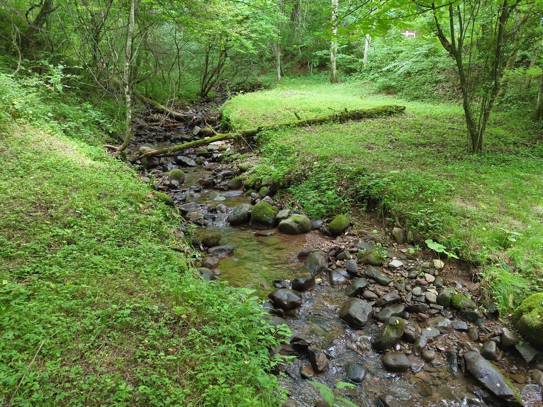 リスの家｜長野県・八ヶ岳・富士見・原村・野辺山・小海｜周辺を流れる小川
