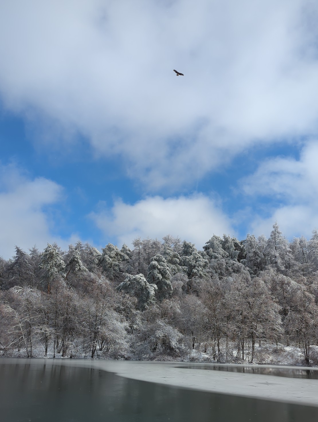 リスの家｜長野県・八ヶ岳・富士見・原村・野辺山・小海｜近くの池