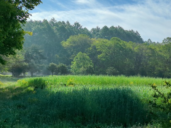 長野県 八ヶ岳・富士見・原村・野辺山・小海の貸別荘・コテージ｜リスの家：高原