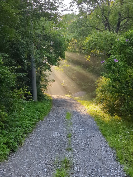 長野県 八ヶ岳・富士見・原村・野辺山・小海の貸別荘・コテージ｜リスの家：ハイキング