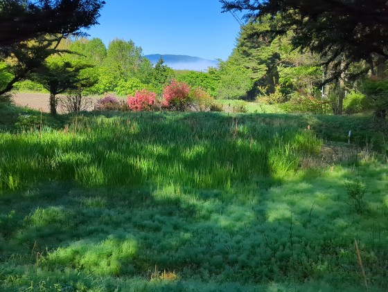 長野県 八ヶ岳・富士見・原村・野辺山・小海の貸別荘・コテージ｜リスの家：避暑地