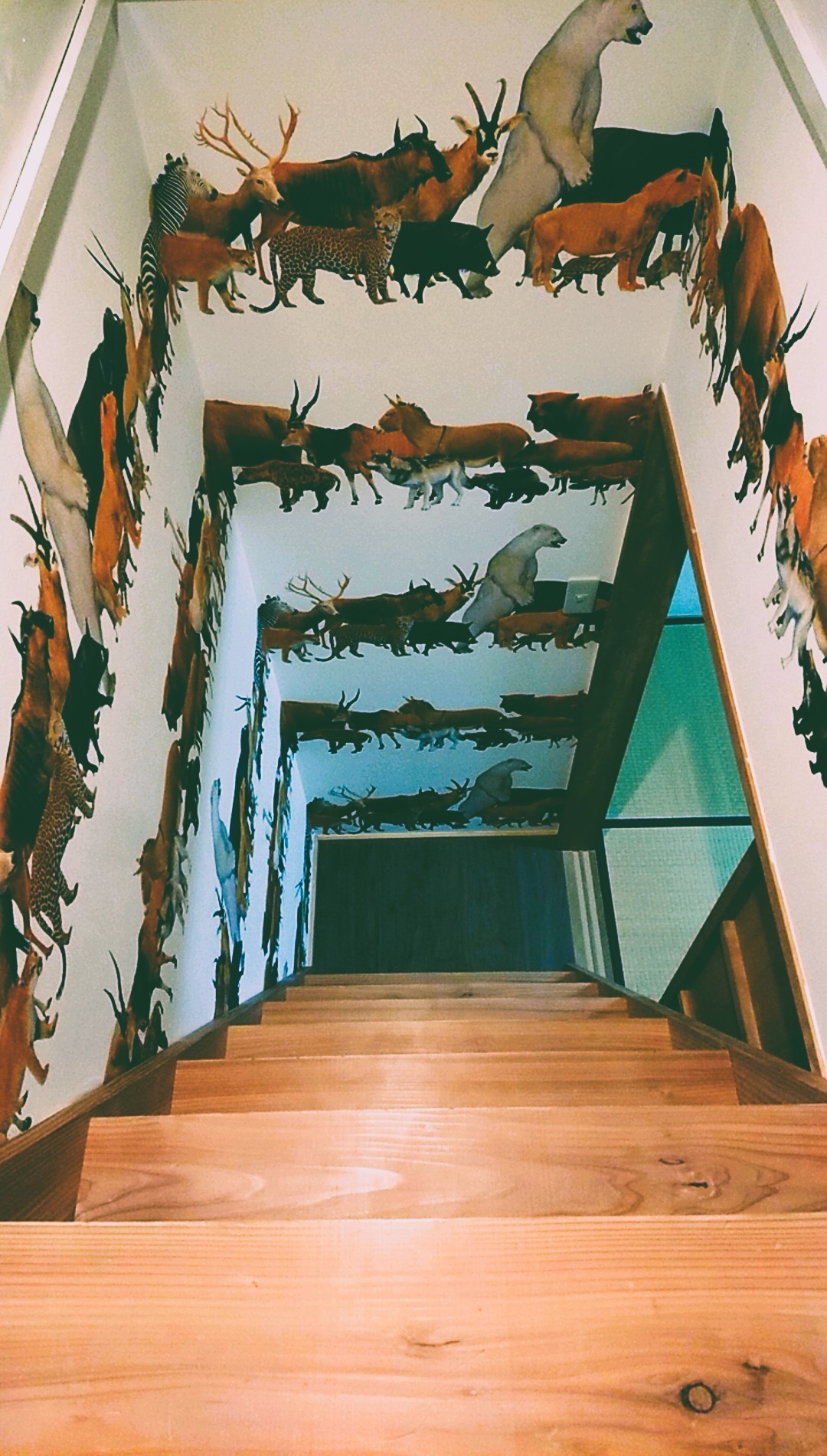 那須の貸別荘　コテージ7（ナナ）　V棟｜栃木県・那須・板室｜ひみつの部屋へ続く階段・・・