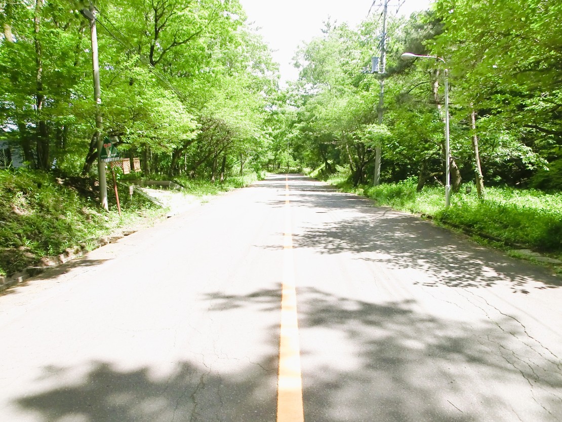 那須の貸別荘　コテージ7（ナナ）　V2棟｜栃木県・那須・板室｜コテージ前面の道路。管理された分譲地内のメイン道路沿いに建っています