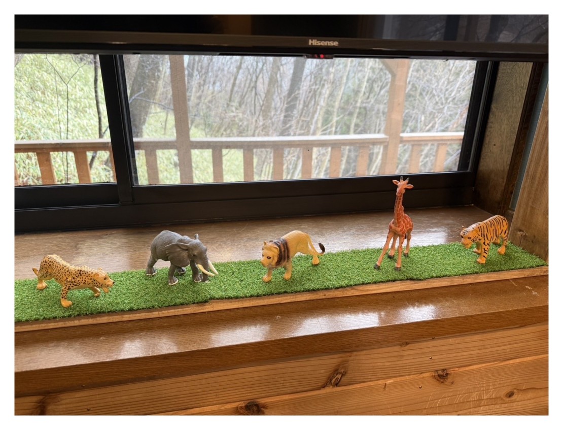 そら豆ん家｜栃木県・那須・板室｜詳細19