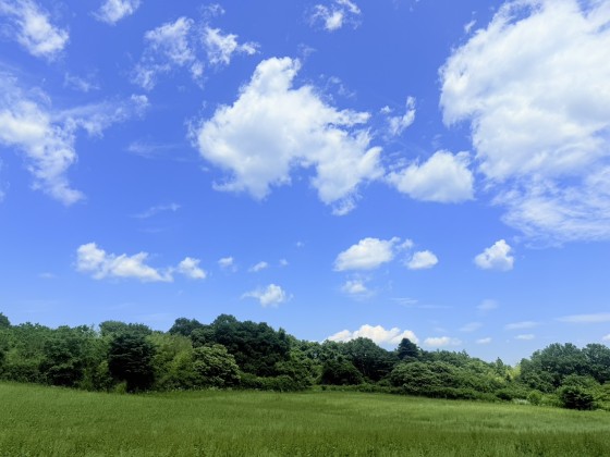 栃木県 那須・板室の貸別荘・コテージ｜ちゃ豆ん家：森