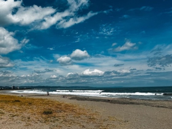 千葉県 館山・南房総の貸別荘・コテージ｜UMI-YAMA CHIKURA：サーフィン