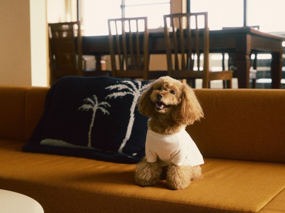 千葉県 館山・南房総の貸別荘・コテージ｜UMI-YAMA CHIKURA：ペットOK