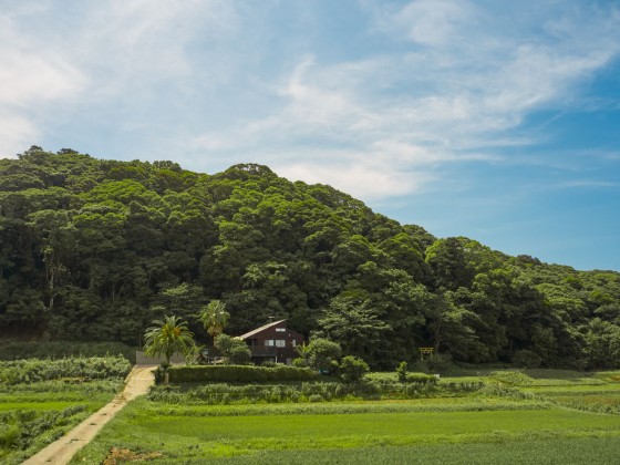 千葉県 館山・南房総の貸別荘・コテージ｜UMI-YAMA CHIKURA：山