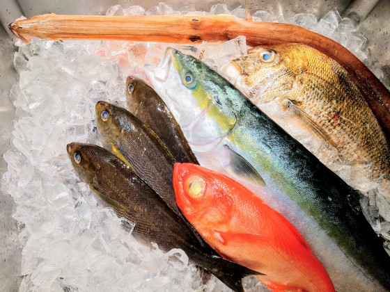 千葉県 館山・南房総の貸別荘・コテージ｜Private Villa AZUL：グルメ