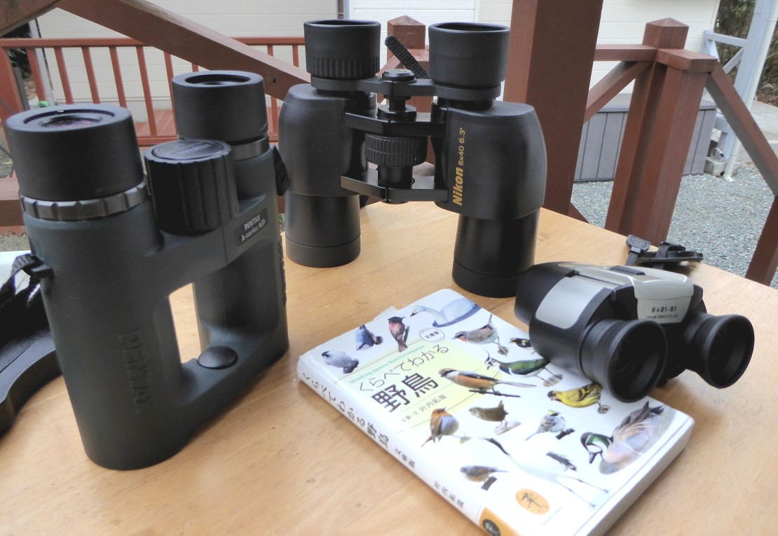 サンテラス箱根｜神奈川県・箱根｜近場での野鳥観察がお勧めです