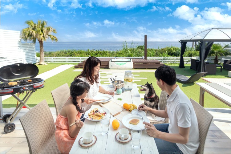 千葉県 館山・南房総のコテージ｜デュエットリゾート白浜ハワイの写真：巨大なドッグラン？