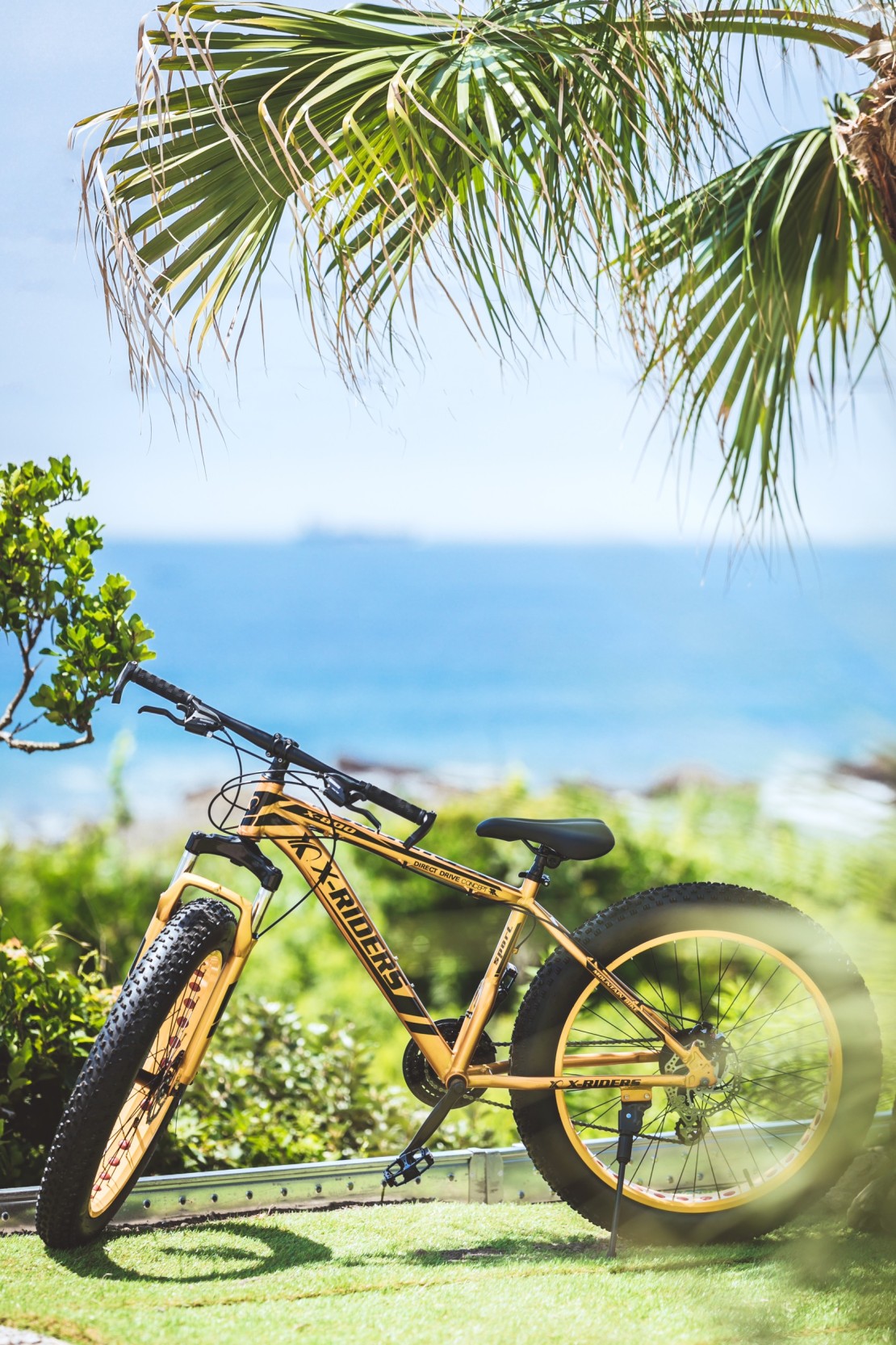 BINGE TRAILER HONU｜千葉県・館山・南房総｜砂浜も走れるファットバイク2台は標準装備